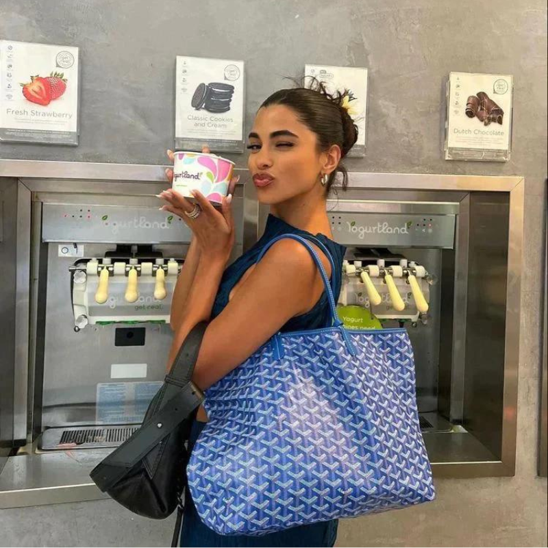 Bolso Croyad - Nueva coleccion 2026